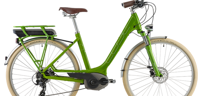 Perché una bicicletta elettrica?